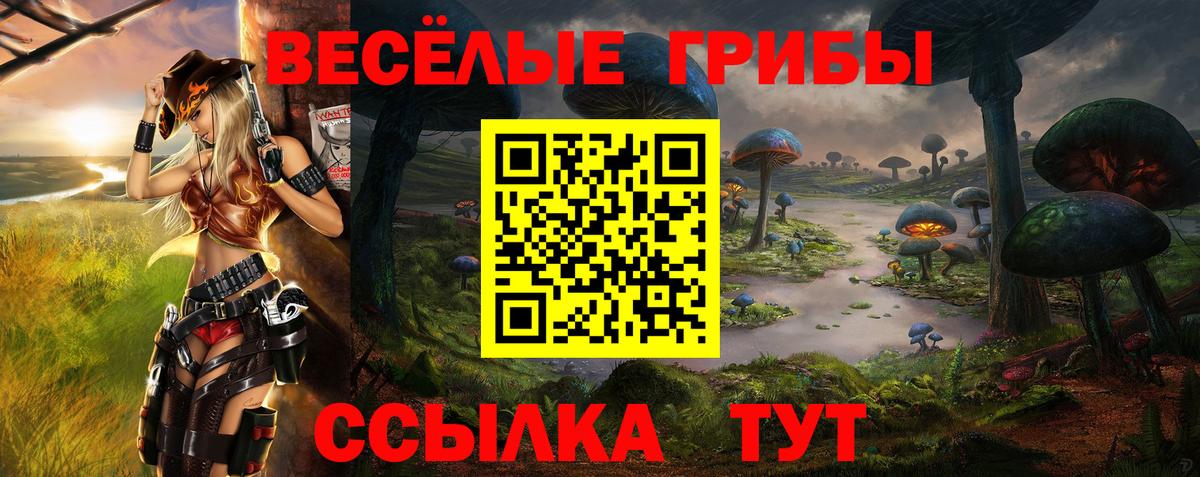 Псилоцибиновые грибы Psilocybe Гудермес